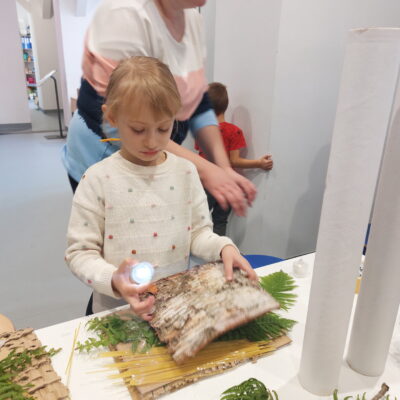 Zdjęcie - 2025.10.12 Z harcerską duszą – warsztaty familijne w SOWA Gorzów Wielkopolski