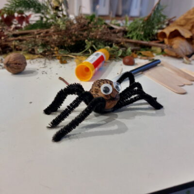 Zdjęcie - 2025.11.09 Eko sztuka z darów natury – warsztaty familijne w SOWA Gorzów Wielkopolski