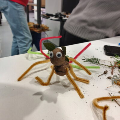 Zdjęcie - 2025.11.09 Eko sztuka z darów natury – warsztaty familijne w SOWA Gorzów Wielkopolski