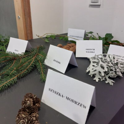 Zdjęcie - 2025.11.09 Eko sztuka z darów natury – warsztaty familijne w SOWA Gorzów Wielkopolski