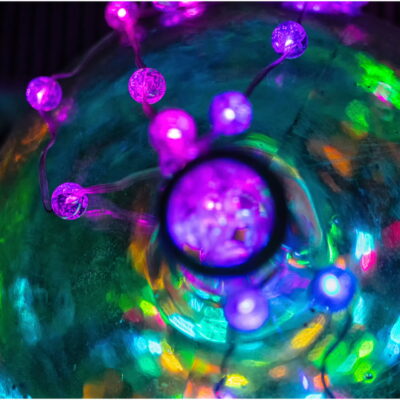 Zdjęcie - 2025.11.21 „Dowody miłości” – wernisaż wystawy w witrynie w IPEA