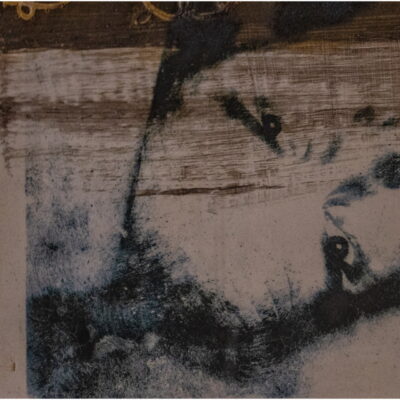 Zdjęcie - 2025.11.21 „Dowody miłości” – wernisaż wystawy w witrynie w IPEA