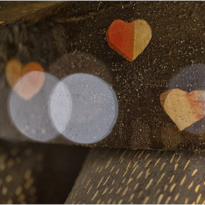 Zdjęcie - 2025.11.21 „Dowody miłości” – wernisaż wystawy w witrynie w IPEA