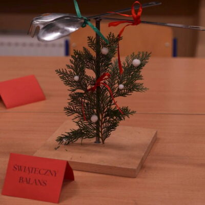 Zdjęcie - 2025.12.05 SOWA Gorzów na kiermaszu SP 13