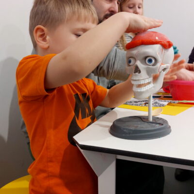 Zdjęcie - 2026.02.15 Moje magiczne ciało – warsztaty familijne w SOWA Gorzów Wielkopolski