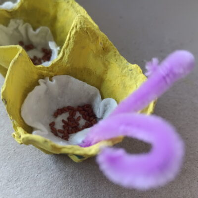 Zdjęcie - 2026.03.19-20 Warsztaty wiosenne